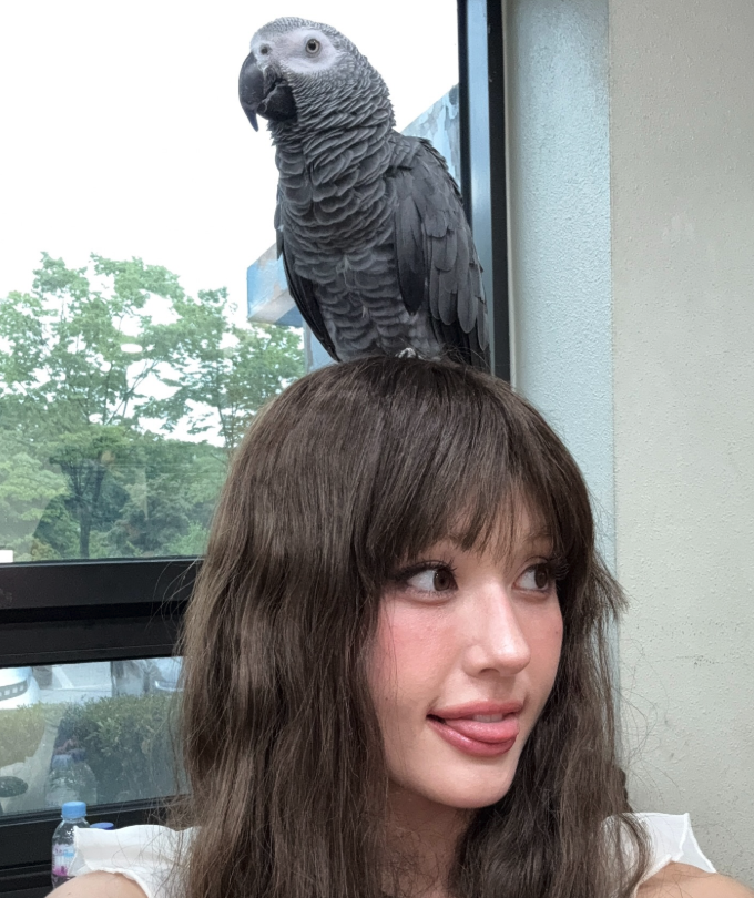 전소미 인스타그램에서 공개한 셀카 전소미 인스타그램 셀카 근황 사진