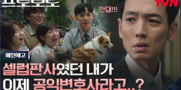 TVN 드라마 프로보노 메인 예고 장면을 담은 공식 썸네일 이미지
