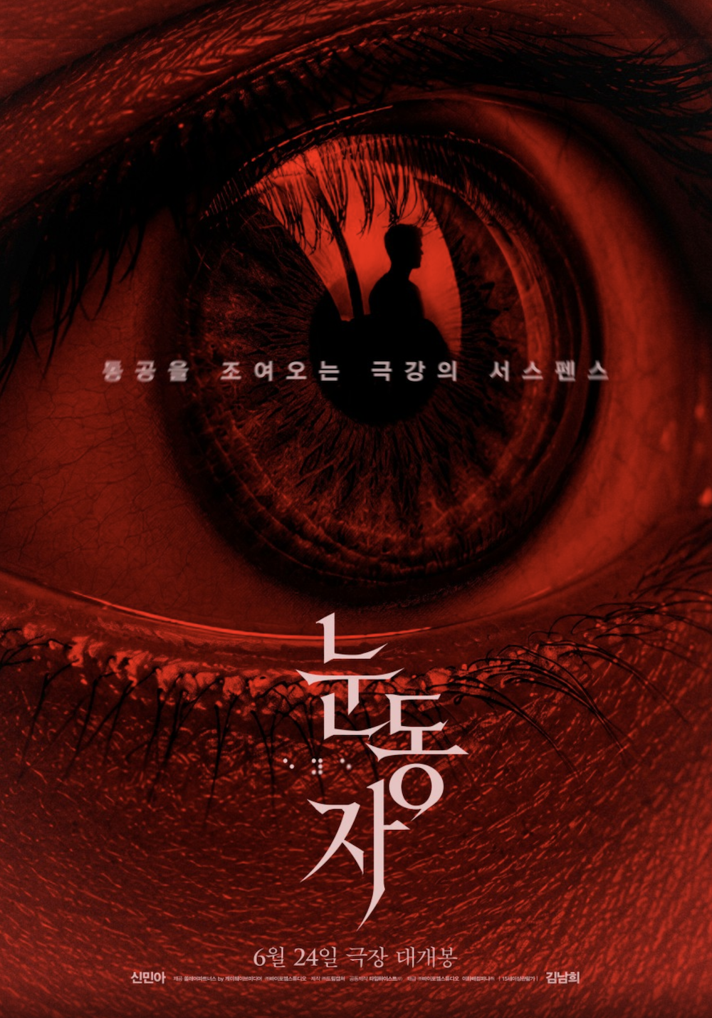 붉은 눈 이미지를 활용한 영화 눈동자 공식 포스터